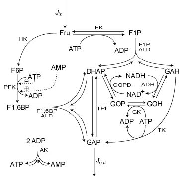 Reaction pathway